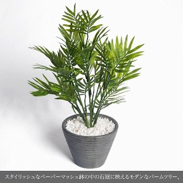ミニパーム和モダンポット Wabi 侘(わび) 45cmの画像