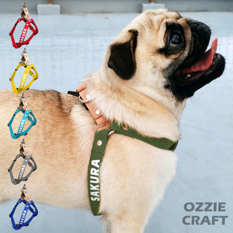 犬の首輪リード専門店 Ozzie