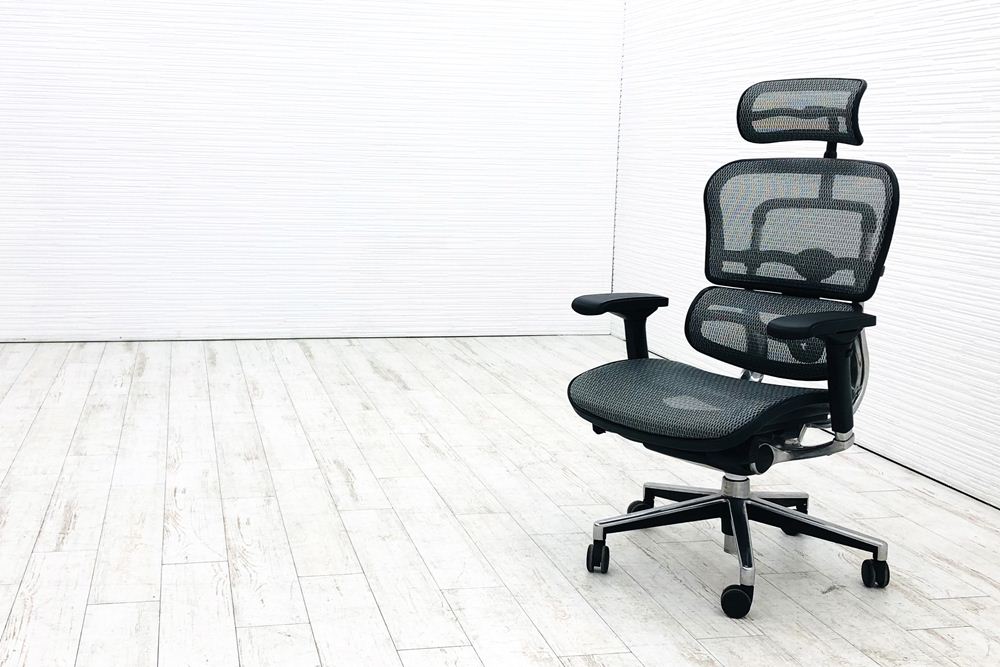 エルゴヒューマン フィット2ヘッドレスト付　【美中古品】 エルゴヒューマン フィット2 限定モデル・メーカー組立済完成品