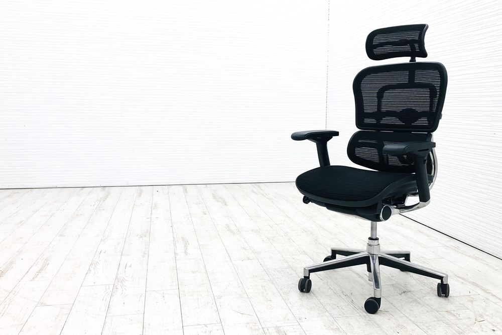 エルゴヒューマン Ergohuman エンジョイ ENJOY 肘付きオフィスチェア