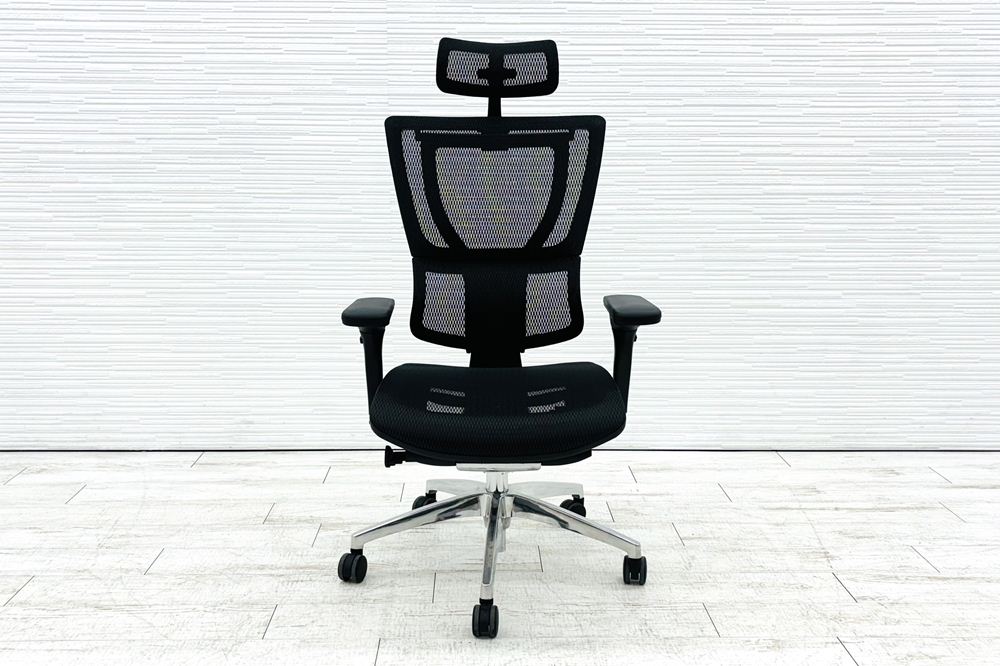エルゴヒューマン フィット ヘッドレスト付き ergohuman 中古 中古チェア 高機能チェア メッシュ ブラックの画像