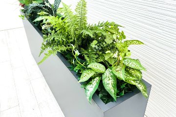 プラントボックス 造花付き 中古 フェイクグリーン 間地切り 中古オフィス家具 フラワースタンド 1830/250/635の画像