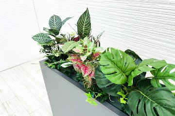 プラントボックス 造花付き 中古 フェイクグリーン 間地切り 中古オフィス家具 フラワースタンド 1830/250/635の画像