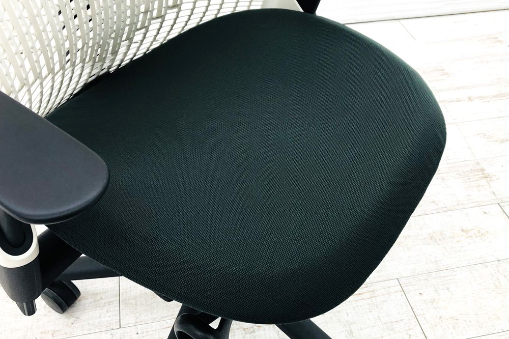 ハーマンミラー セイルチェア 中古 【前傾チルト無】 SAYL Chairs デザインチェア 中古オフィス家具 可動肘 ホワイト/ダークグリーンの画像