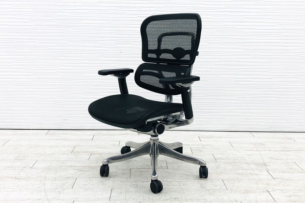 エルゴヒューマン プロ 中古 ミドルバック ergohuman Pro 中古チェア 高機能チェア メッシュ ブラックの画像