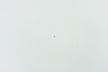 コクヨ エディア スライド書庫 中古 スチール書庫 ホワイト 収納家具 引き違い書庫 中古オフィス家具 900/450/780 シリンダー錠の画像