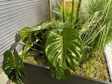 【土浦本店引き取り限定】　フェイクグリーン　フラワースタンド　プラントボックス　セット　ボックスサイズ950/950/500ｍｍ　造花高さ約2300mmの画像