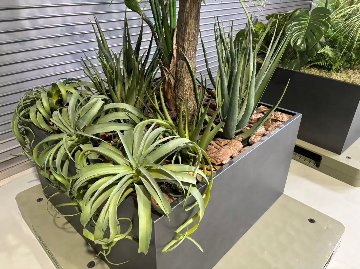 【土浦本店引き取り限定】　フェイクグリーン　フラワースタンド　プラントボックス　セット　ボックスサイズ950/950/500ｍｍ　造花高さ約2300mmの画像