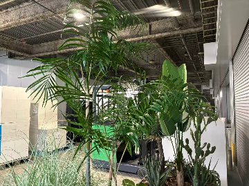【土浦本店引き取り限定】　フェイクグリーン　フラワースタンド　プラントボックス　セット　ボックスサイズ950/950/500ｍｍ　造花高さ約2300mmの画像