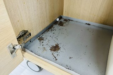 オカムラ トラッシュユニット ダストボックス 中古 キャスター付き ゴミ箱 ごみ箱 中古オフィス家具 メープル 1000/480/900の画像