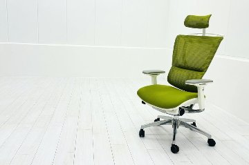 Ergohuman Fit エルゴヒューマン フィット ヘッドレスト付き 中古 中古チェア 高機能チェア 3Dメッシュ グリーンの画像
