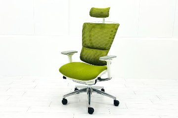 Ergohuman Fit エルゴヒューマン フィット ヘッドレスト付き 中古 中古チェア 高機能チェア 3Dメッシュ グリーンの画像
