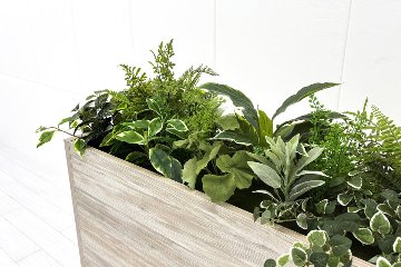 オカムラ ブレスタ プランターボックス Bresta 造花付き 中古 フェイクグリーン 間地切り 中古オフィス家具 フラワースタンド 1800/300/1000の画像