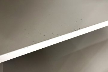 コクヨ ダイヤル式 オフィス用耐火金庫 カギ付き 中古 中古オフィス家具 業務用耐火金庫 650/650/1040の画像