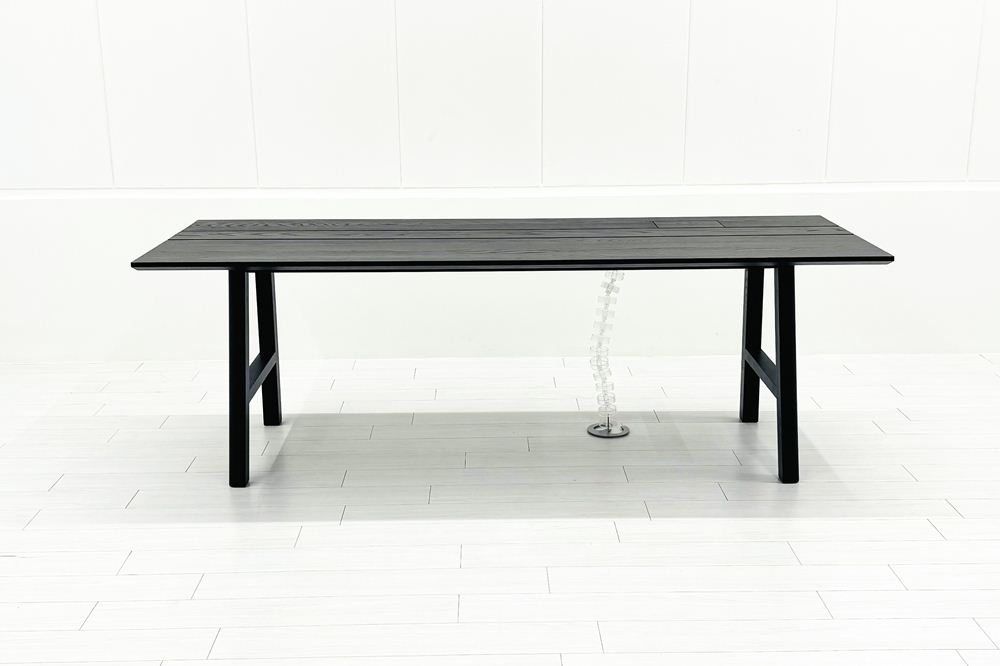 中古デスク Buzzispace BuzziPicNic Desk Table バジィ・スペース バジィ・ピクニック・デスクテーブル 2200/800/750の画像