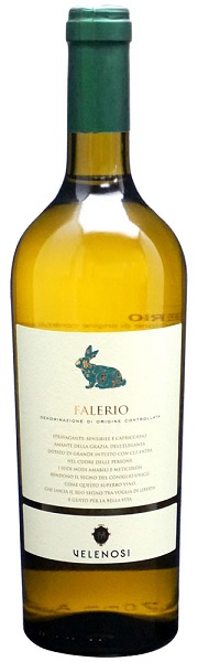 ヴェレノージ　ファレーリオ 2023の画像