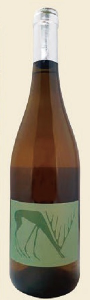 ドメーヌ・デ・トルイエール　アノリウム ブラン 2023の画像