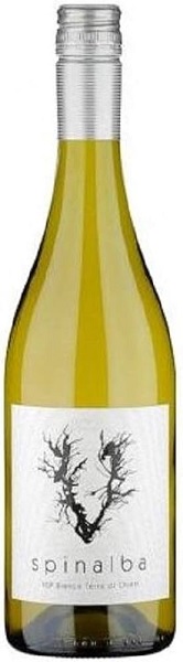 ヴェネア スピナルバ 2023の画像