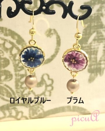 Still Garden＊Halo～２色よりの画像