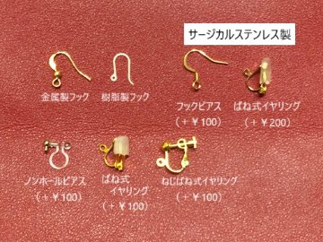 ドライフラワーのピアス(イヤリング)♦２色展開の画像