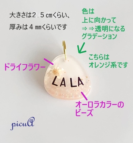 ペットちゃんネームタグの画像