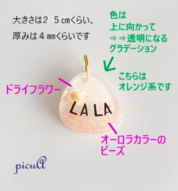 ペットちゃんネームタグの画像