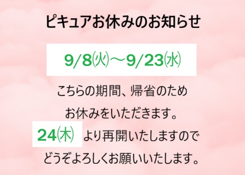 ピキュアお休みのお知らせの画像