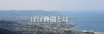 ぽぽ農園とはの画像