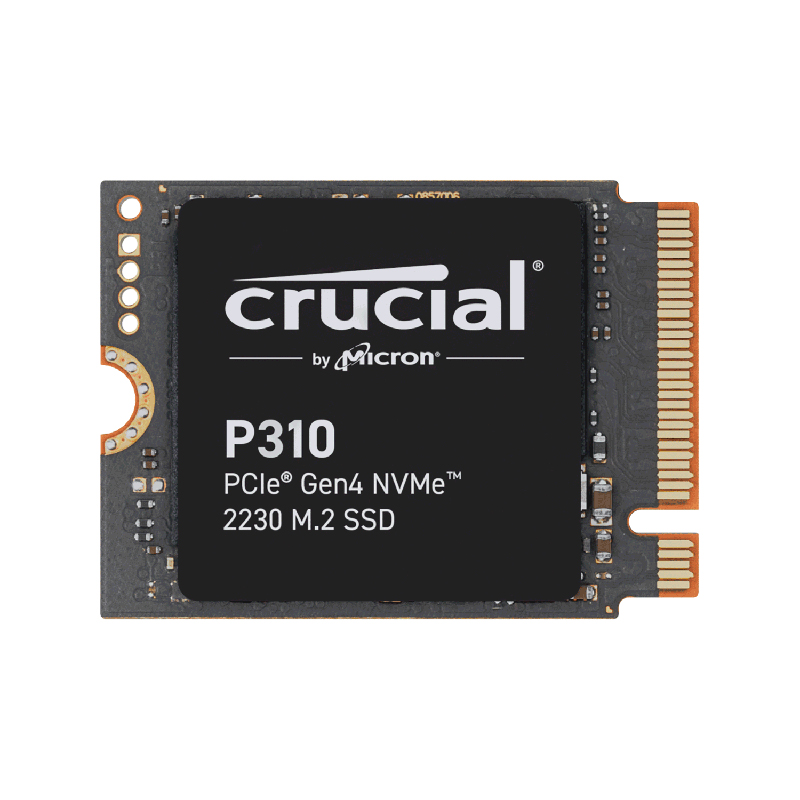 P310 CT1000P310SSD2-JP (1TB)の画像