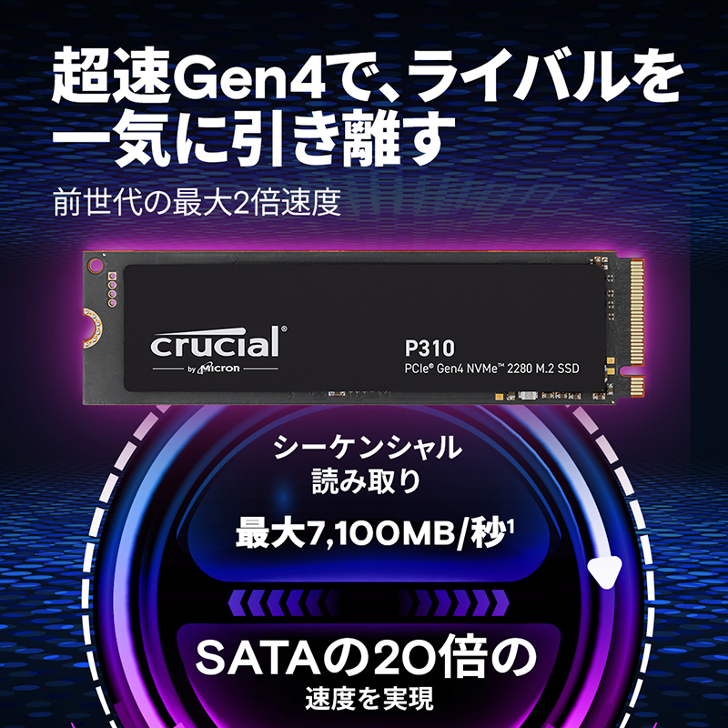 P310 CT500P310SSD8-JP (500GB)の画像