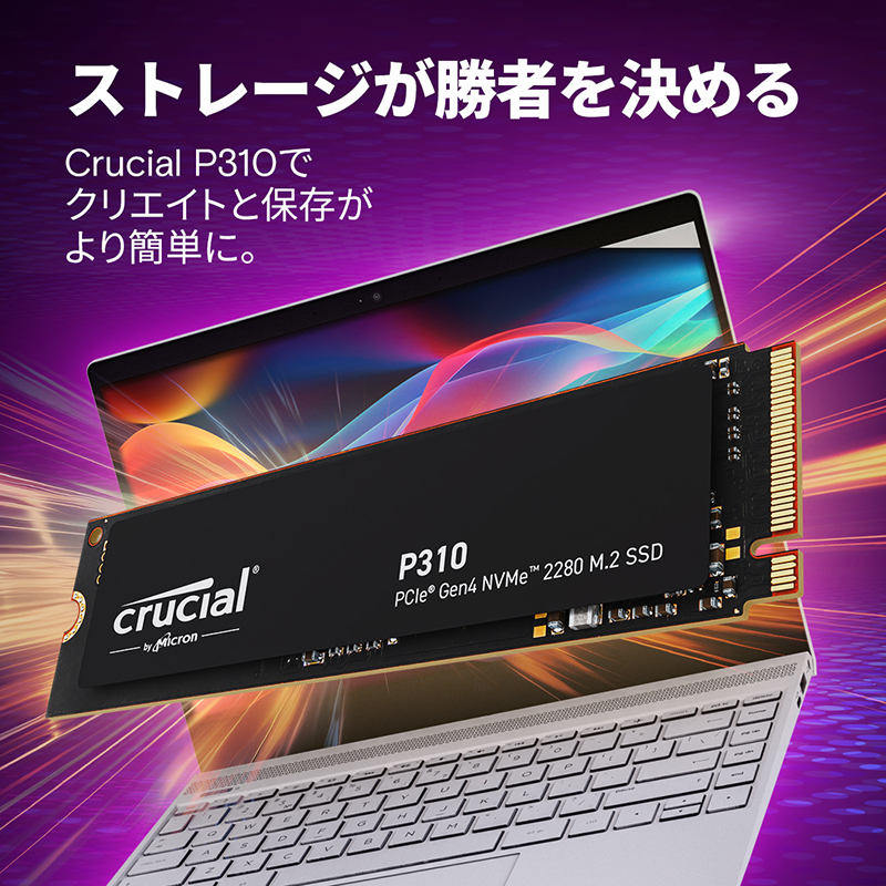 P310 CT500P310SSD8-JP (500GB)の画像