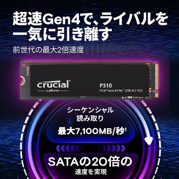 P310 CT500P310SSD8-JP (500GB)の画像