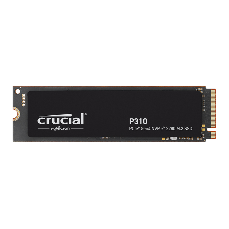 P310 CT1000P310SSD8-JP (1TB)の画像