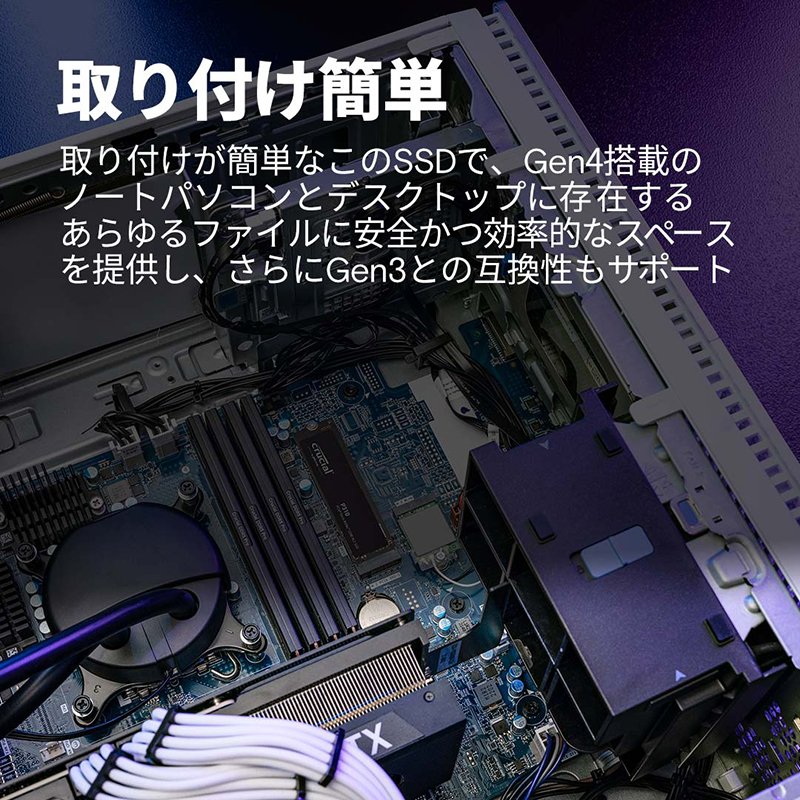 P310 CT1000P310SSD8-JP (1TB)の画像