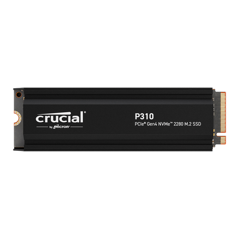 P310 CT2000P310SSD5-JP (2TB)の画像