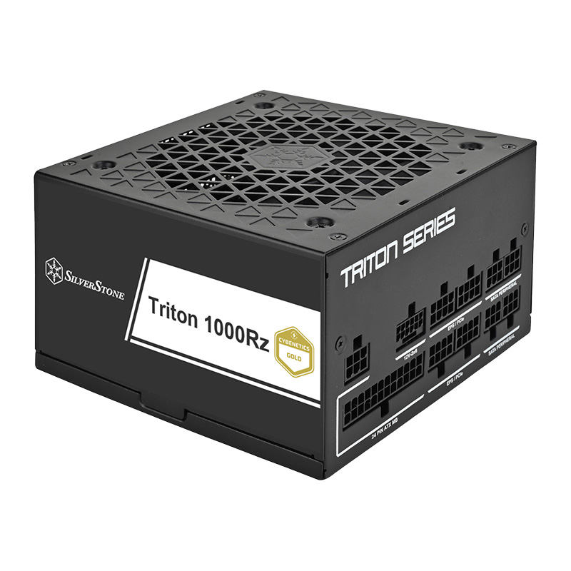 Triton 1000Rzの画像