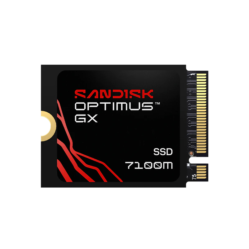 SDSP71100TAT-000E0 (1TB)の画像
