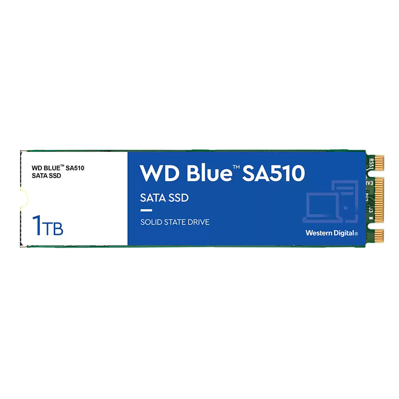 WD Blue SA510 WDS100T3B0B (1TB)の画像