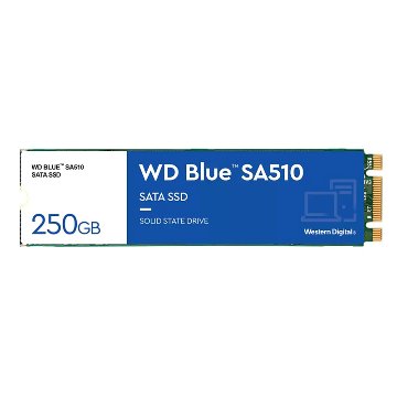 WD Blue SA510 WDS250G3B0B (250GB)画像