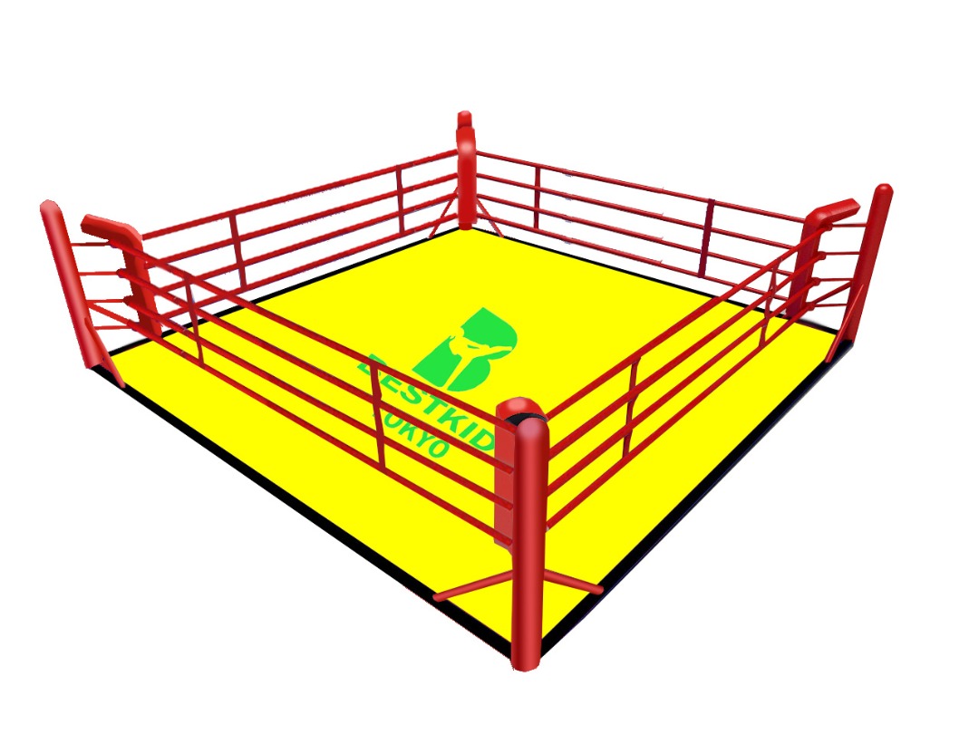 ボクシング・キックボクシングリング　4m×4m平置き型（サイズ、カラー変更可。ロゴ入れ可）