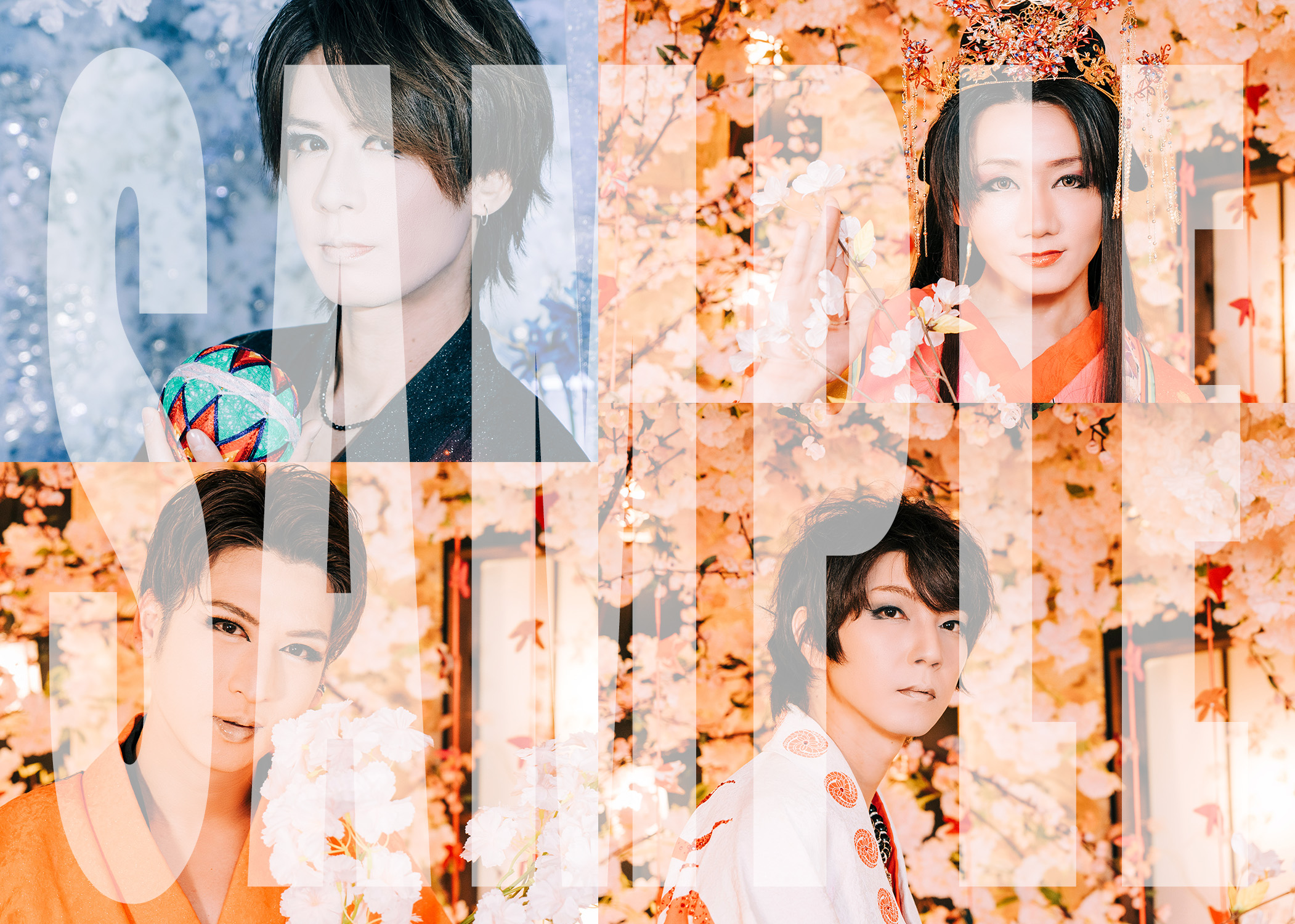 TOKYO流星群～12周年記念公演～ ブロマイドC（4枚セット）画像