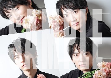 和田雅成バースデーイベント2024 ブロマイドB（4枚セット）の画像