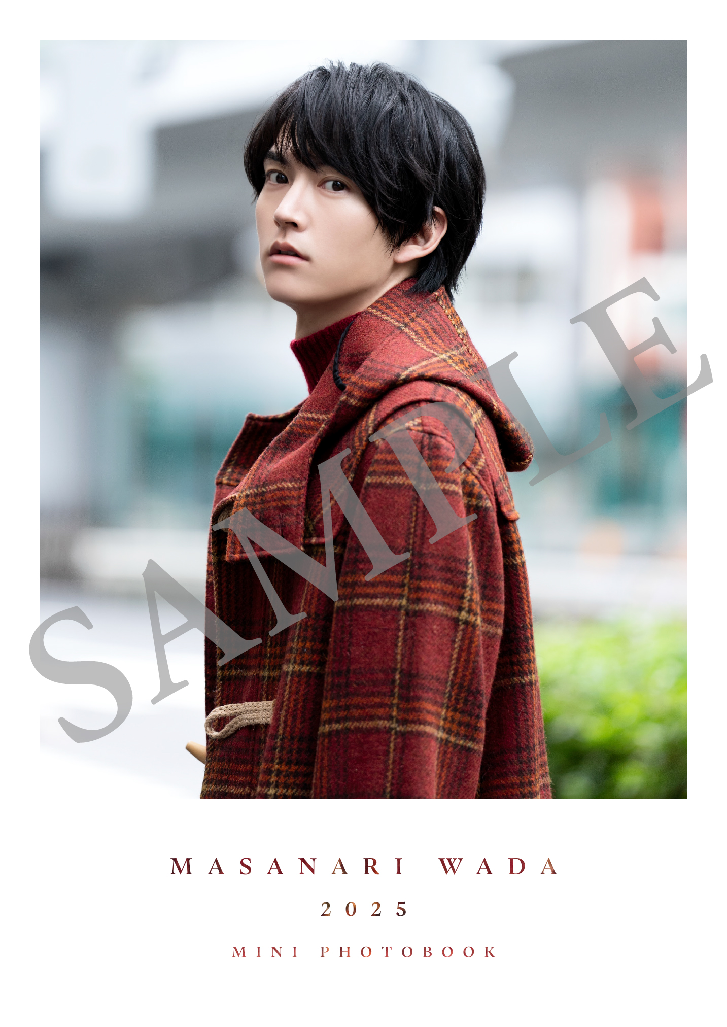 和田雅成2025カレンダー アザーカットミニフォトブックの画像