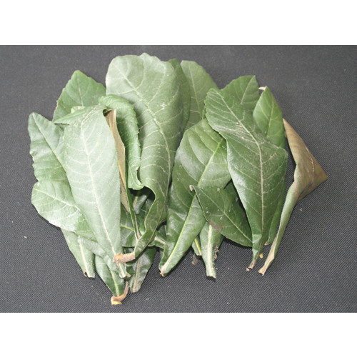 【あす着対応】【お買上特典】枇杷の葉（ペット用）150g　（乾燥しているびわ葉・生葉など） ※2袋（300グラム）ご注文で25グラム増量中の画像