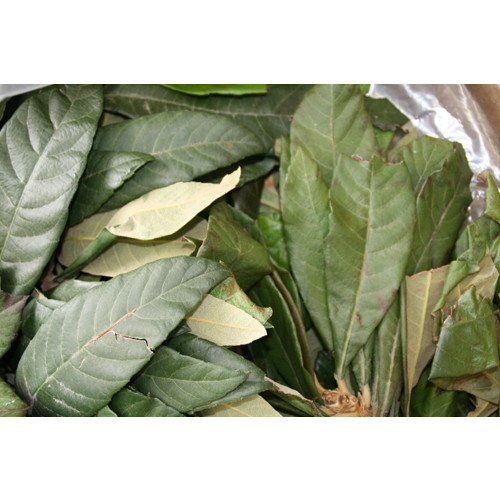 【あす着対応】【お買上特典】ペット用　枇杷の葉　50gの画像