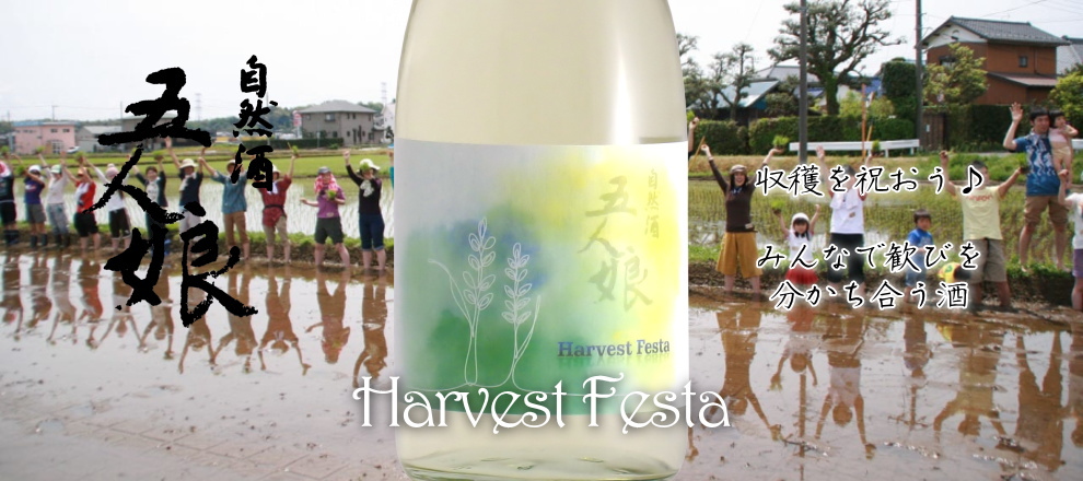 五人娘 HarvestFesta 純米生原酒