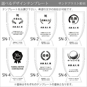 【名入れ彫刻・送料無料】 盾 クリスタル ガラス 表彰 記念 楯 DP-1 名入れ 感謝状 記念品 周年記念 創立記念 退職記念 お祝い プレゼント 還暦 喜寿 金婚式 銀婚式 イベント ギフトの画像