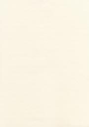 OA和紙 すのめ和紙の画像