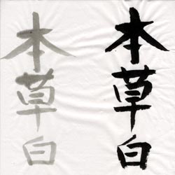 書道用和紙 8セット 半紙 【通販モノタロウ】 書道用品