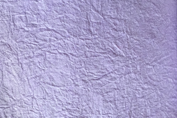 強製紙 薄紫画像